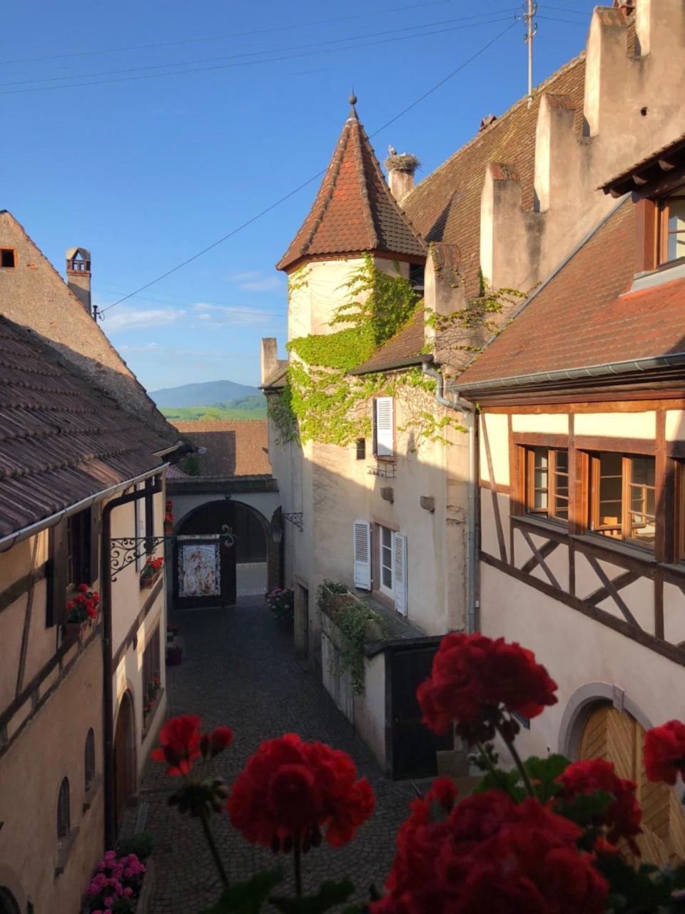 Bed and Breakfast Le Grenier Des Aromes Au Domaine Wittmann Міттельбергайм Екстер'єр фото