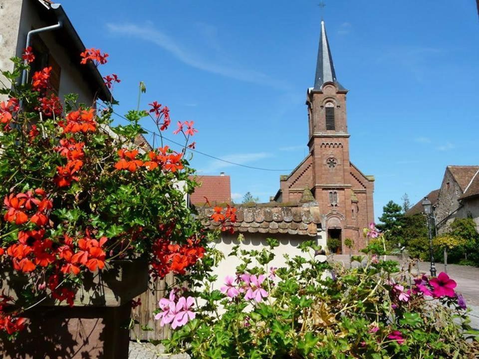 Bed and Breakfast Le Grenier Des Aromes Au Domaine Wittmann Міттельбергайм Екстер'єр фото